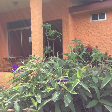 Cabinas Los Guayabos Hotel La Fortuna Kültér fotó