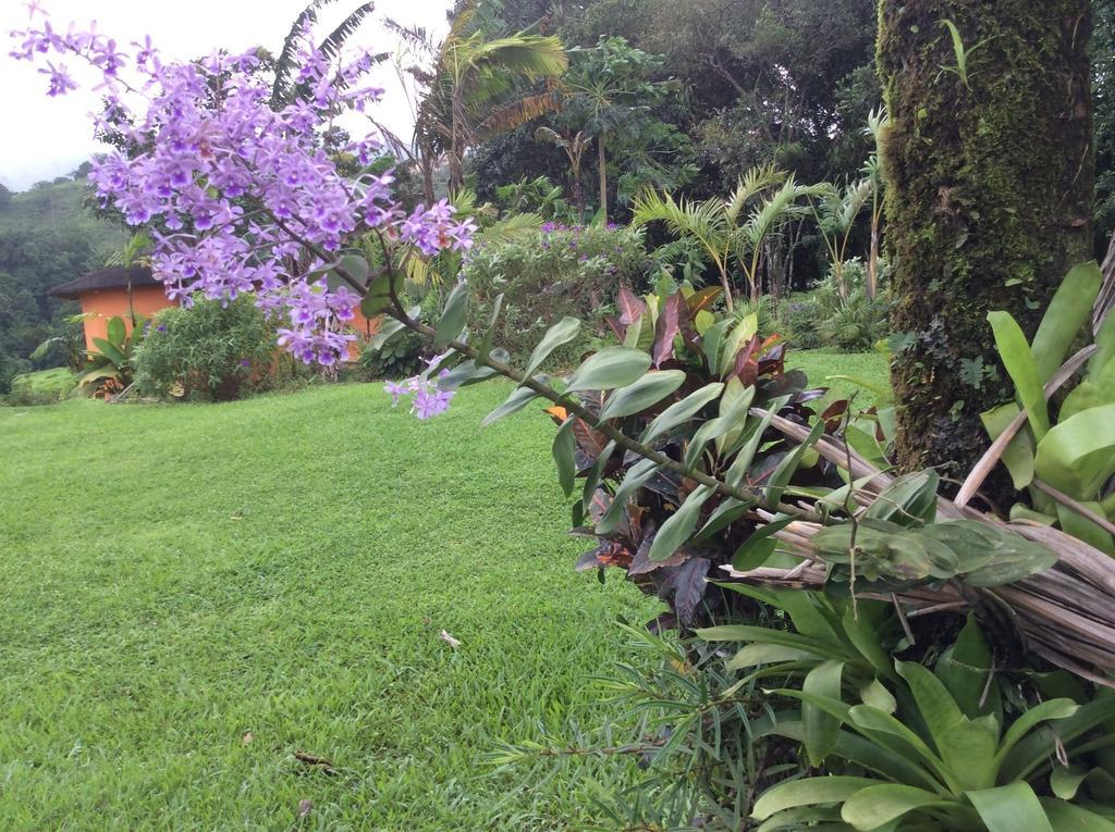 Cabinas Los Guayabos Hotel La Fortuna Kültér fotó